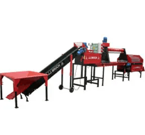 Desgranadora/Clasificadora de dientes de ajo